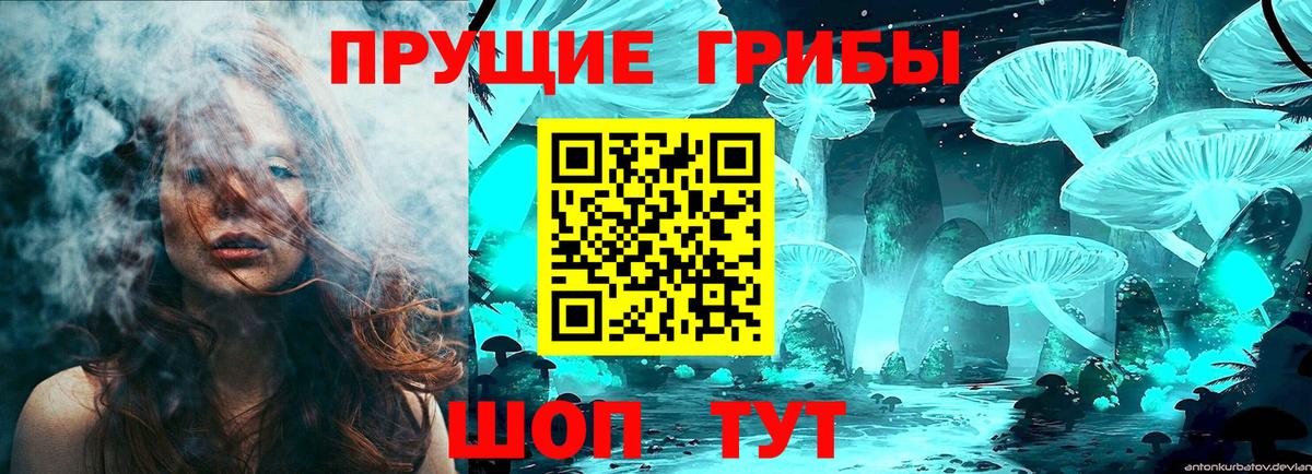 Псилоцибиновые грибы Magic Shrooms Вятские Поляны
