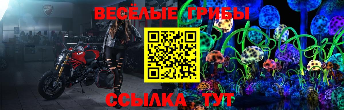 Псилоцибиновые грибы GOLDEN TEACHER  Вход с VPN  Вятские Поляны 